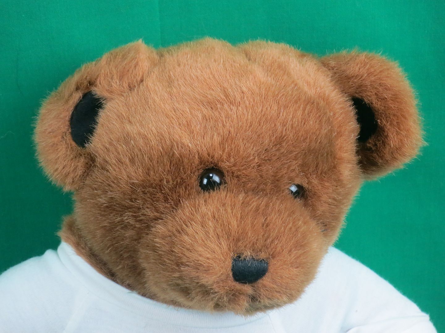 longhorn plush build a bear